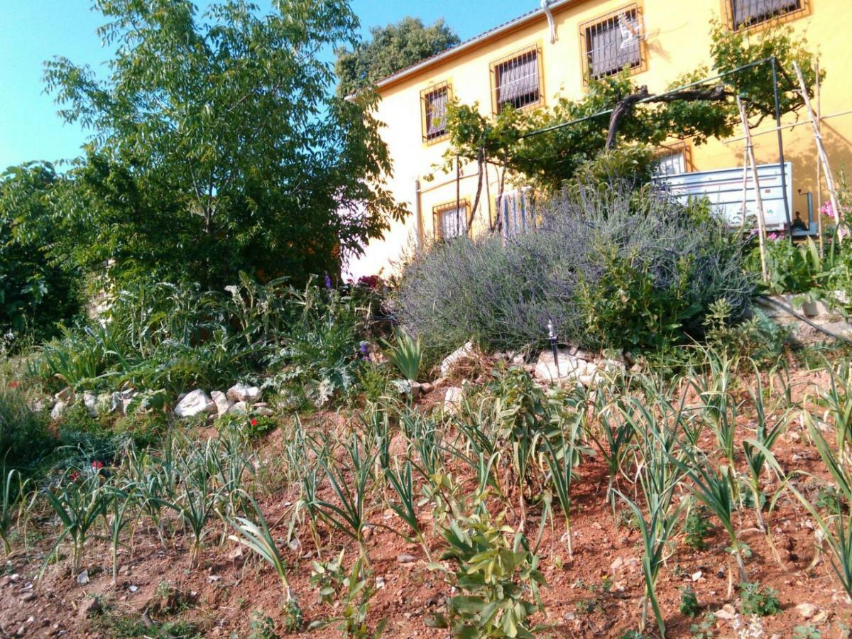 הוילה Iznájar Cortijo De La Cruz מראה חיצוני תמונה